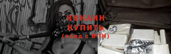 шишки Арсеньев