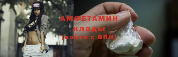 шишки Арсеньев