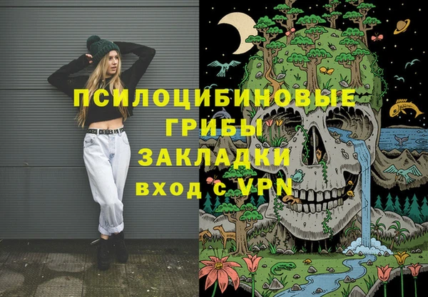 шишки Арсеньев