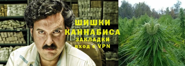 шишки Арсеньев